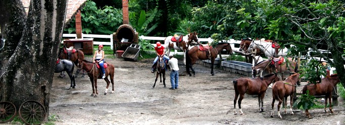 Playa Negra Guanacaste Costa Rica Horse Tours